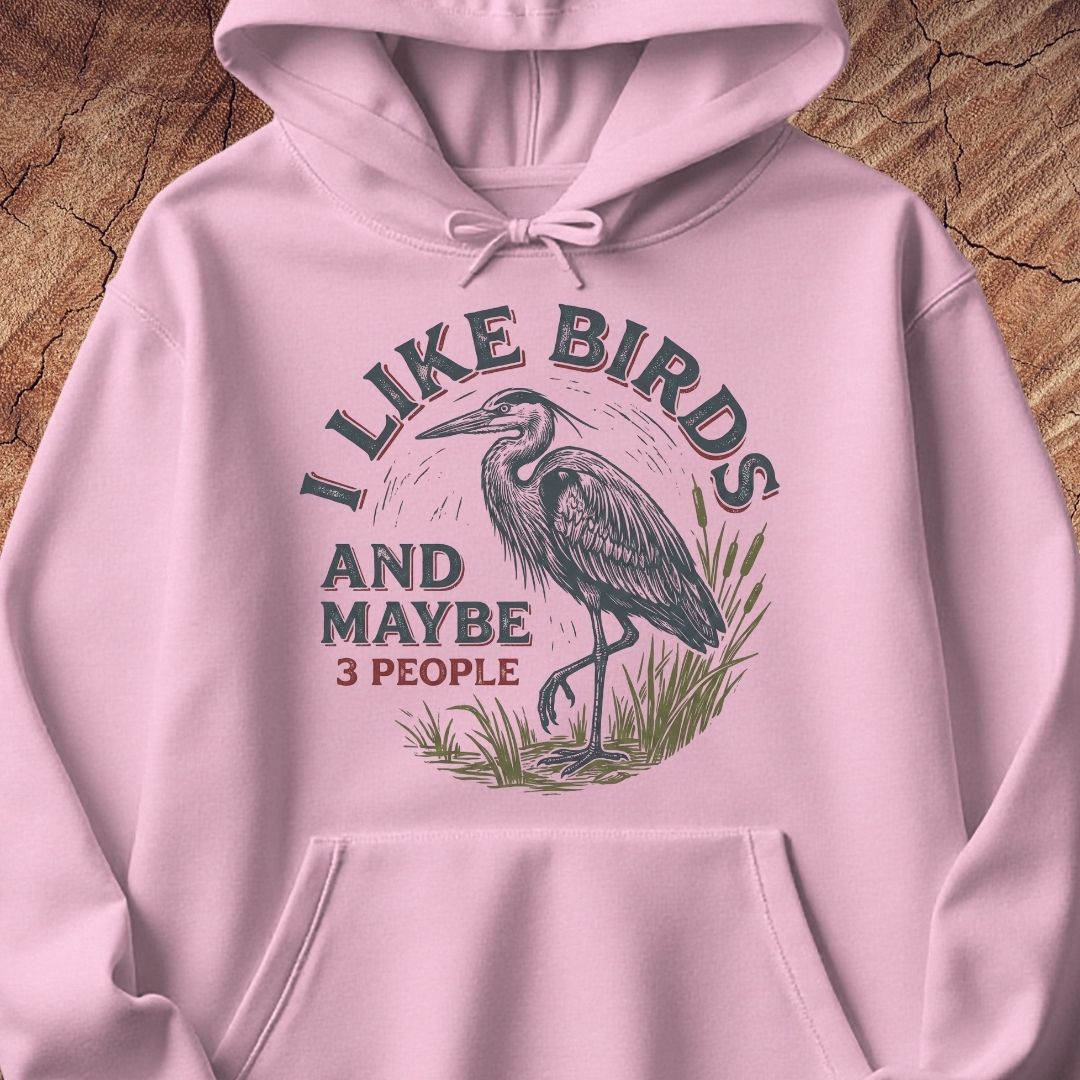 A light pink pullover hoodie with a front graphic print featuring a heron and the text 'I LIKE BIRDS AND MAYBE 3 PEOPLE'. The hoodie is laid flat on a textured wood background.