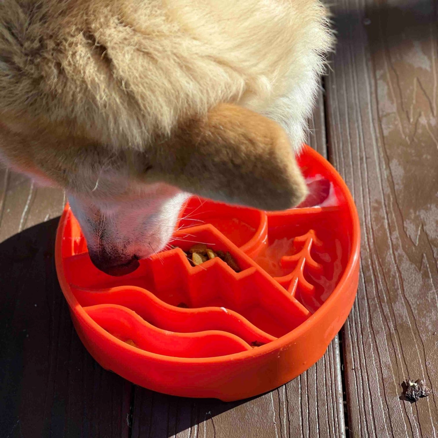 Slow Feeder Enrichment Dog Bowl - Wandering Owl Adventure Gear