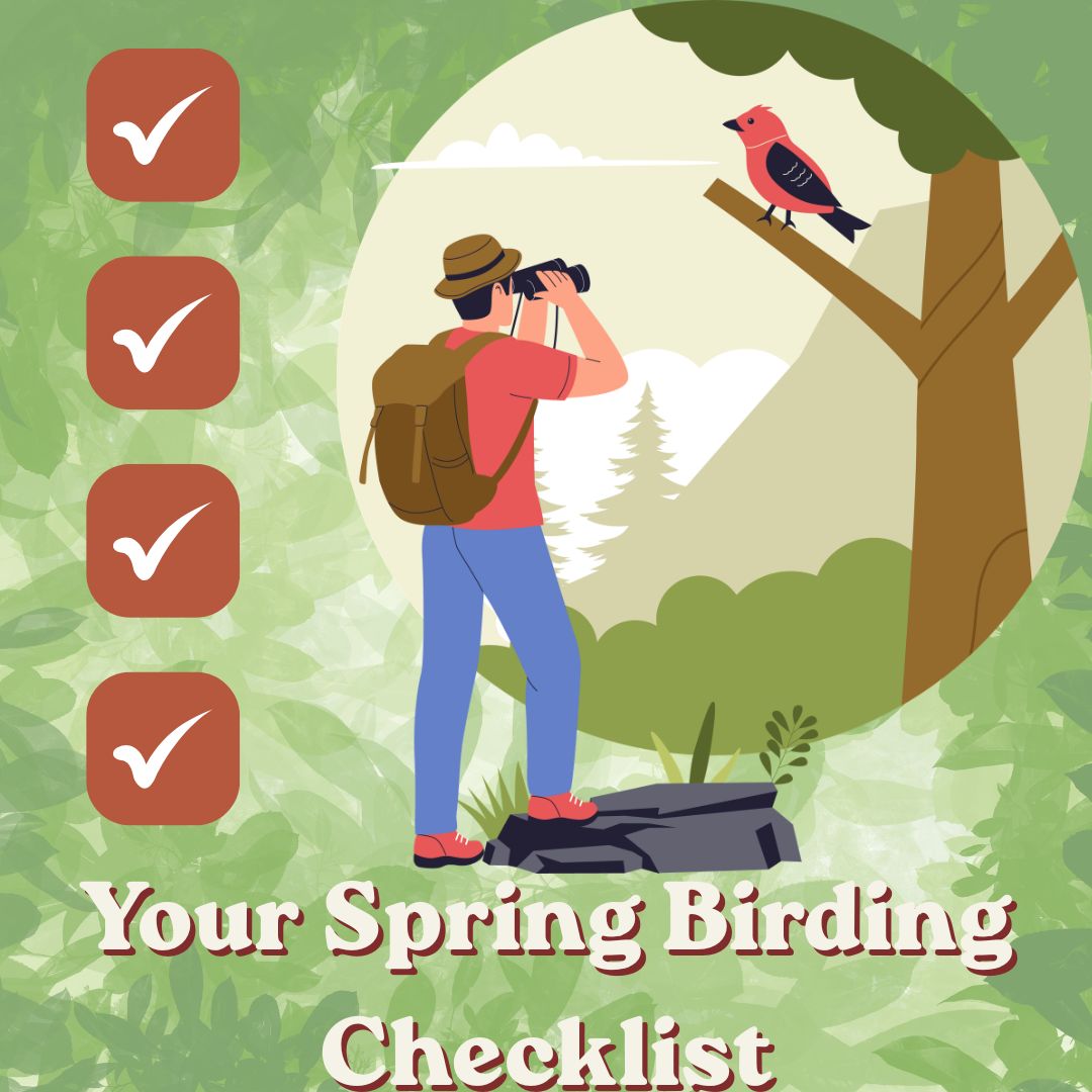Your Spring Birding Checklist