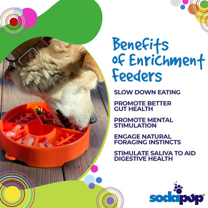 Slow Feeder Enrichment Dog Bowl