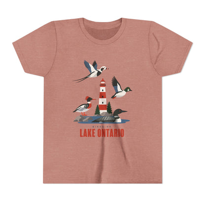 A heathered dusty rose short-sleeve t-shirt featuring a graphic print of birds, a lighthouse, and loons with the text 'ABOUT LAKE ONTARIO' on the front, displayed against a solid white background.