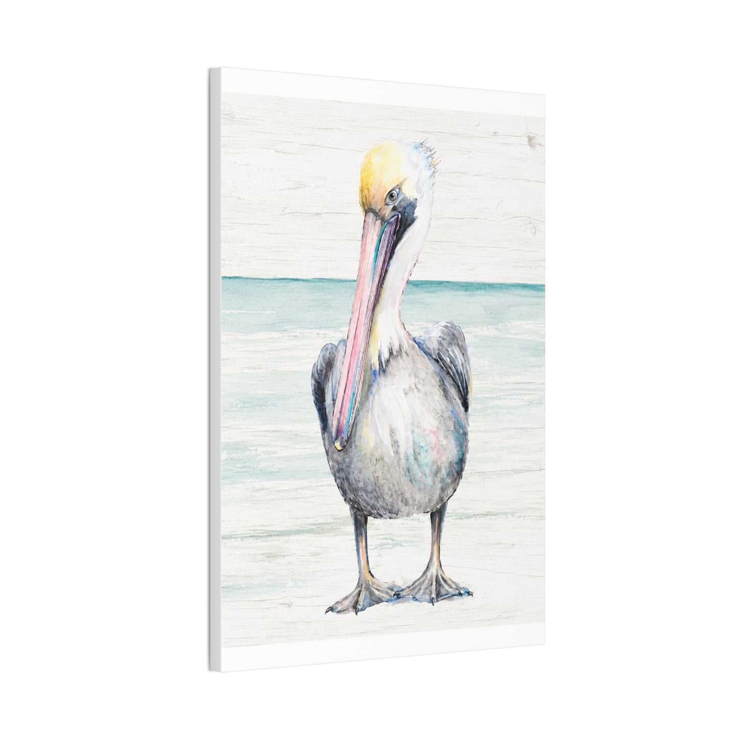 Pelican Canvas