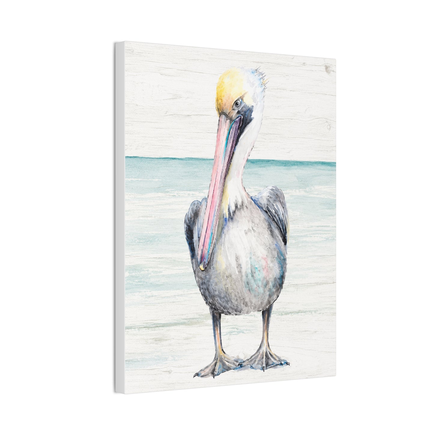 Pelican Canvas