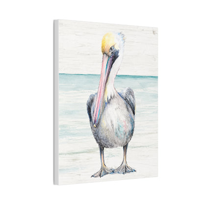 Pelican Canvas