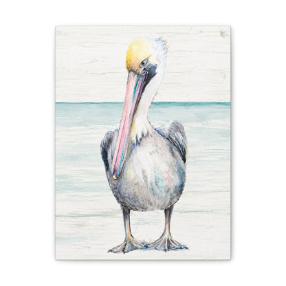 Pelican Canvas