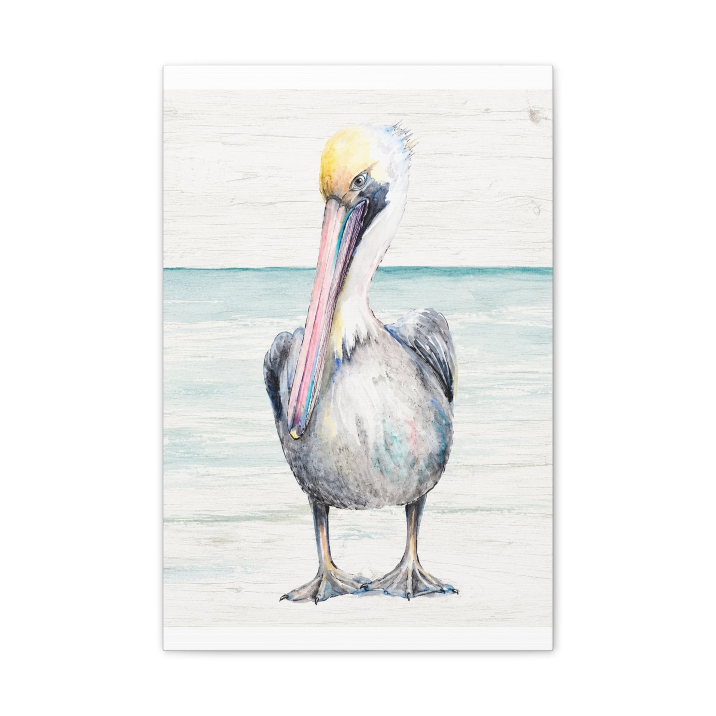 Pelican Canvas