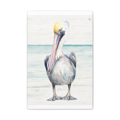 Pelican Canvas
