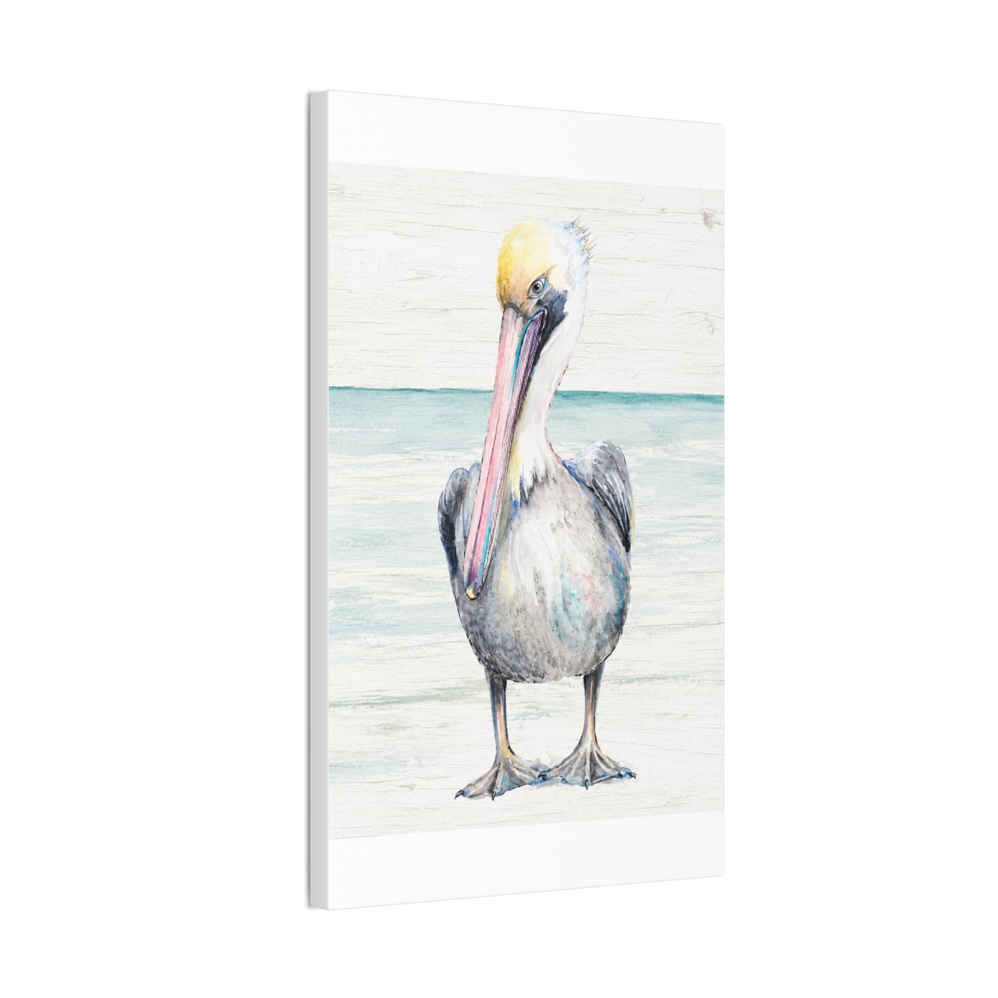 Pelican Canvas