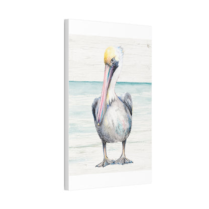 Pelican Canvas
