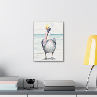 Pelican Canvas