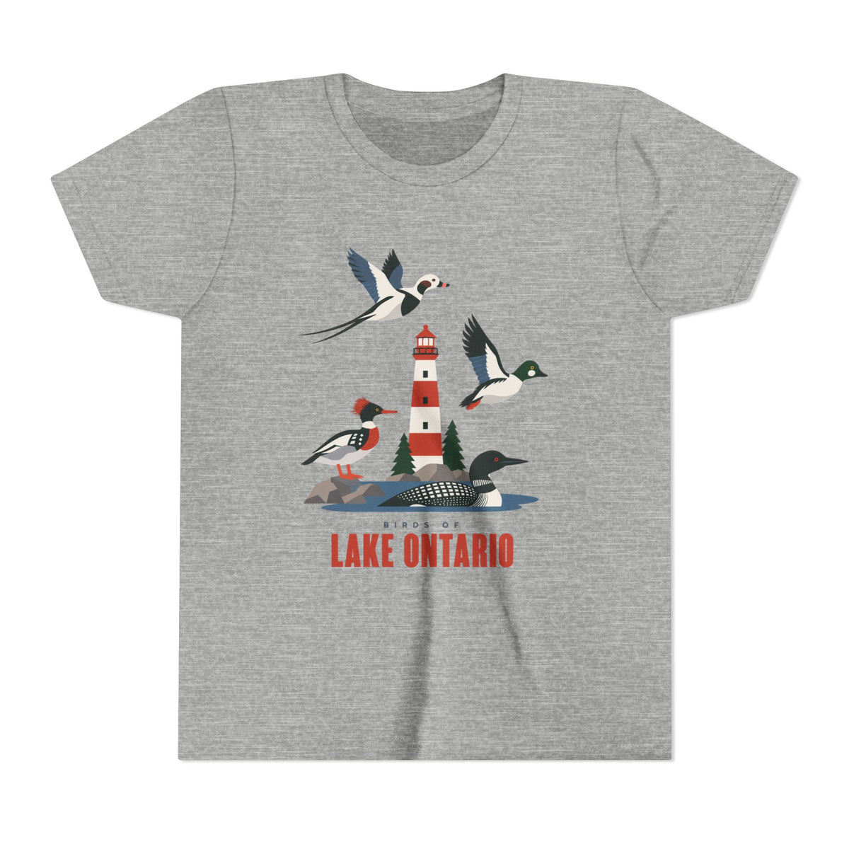A heather gray short-sleeve t-shirt featuring a colorful graphic of birds, a lighthouse, and the text 'BEYOND LAKE ONTARIO' printed on the front, displayed against a solid white background.