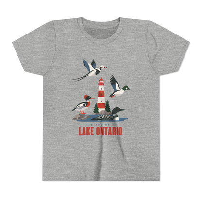 A heather gray short-sleeve t-shirt featuring a colorful graphic of birds, a lighthouse, and the text 'BEYOND LAKE ONTARIO' printed on the front, displayed against a solid white background.