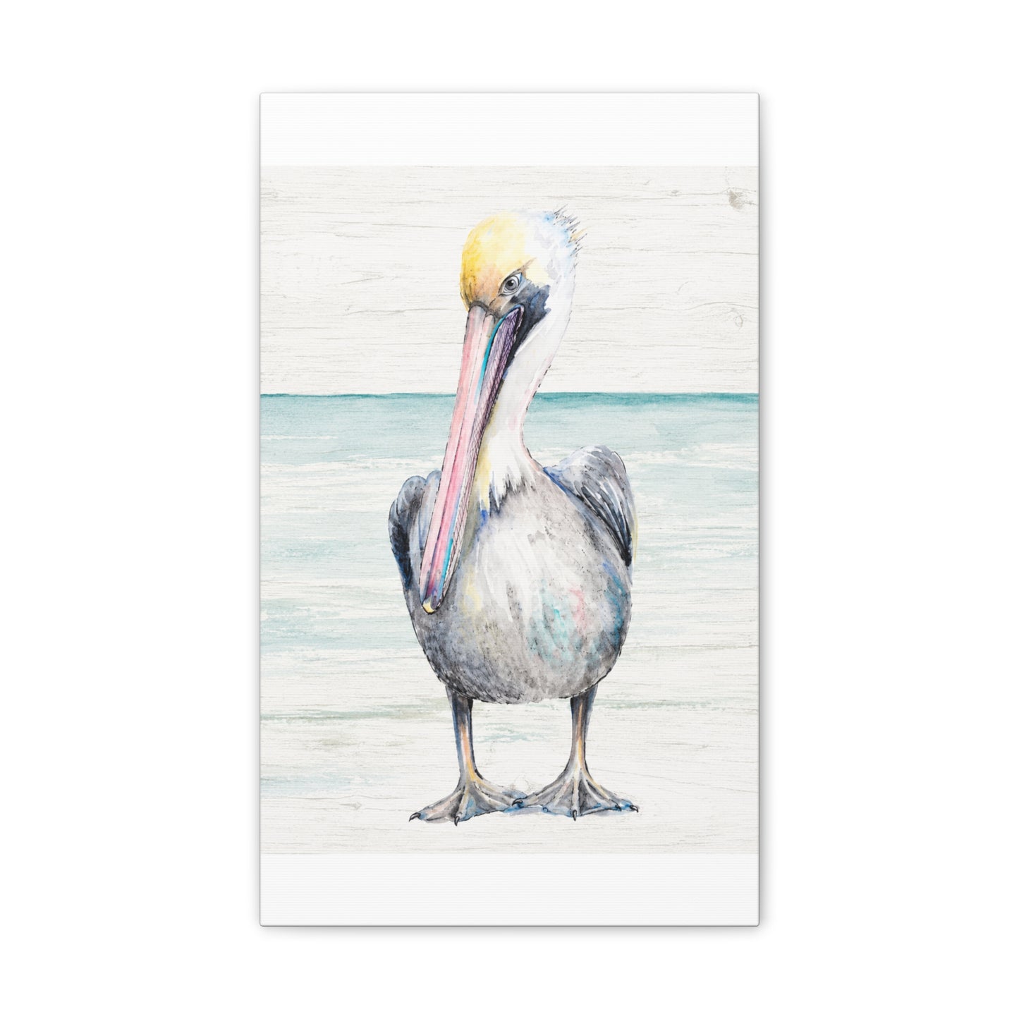 Pelican Canvas