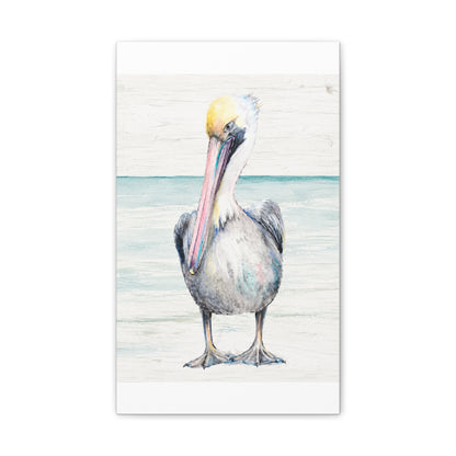 Pelican Canvas
