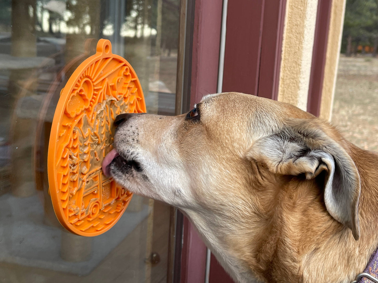 Camper Enrichment Lick Mat With Suction Cups