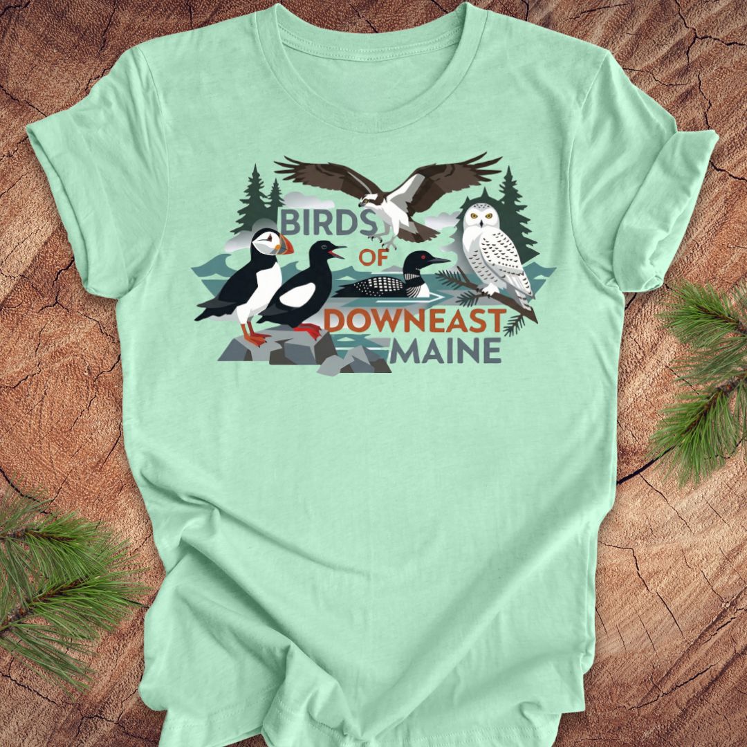 Mint green t-shirt with birds of downeast maine graphics and text on a wooden surface