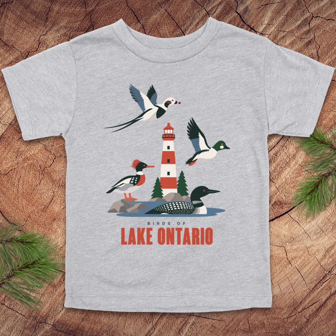 A light heather gray kids' t-shirt featuring a colorful graphic of birds and a lighthouse on Lake Ontario, laid flat on a rustic wood background with pine branches.