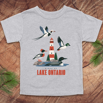 A light heather gray kids' t-shirt featuring a colorful graphic of birds and a lighthouse on Lake Ontario, laid flat on a rustic wood background with pine branches.