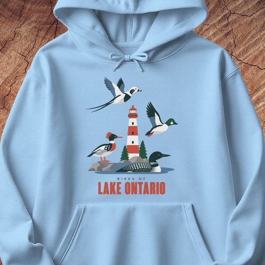 A light blue pullover hoodie laid flat on a textured brown wood background, featuring a colorful graphic of birds and a lighthouse with the text 'BIRDS OF LAKE ONTARIO' printed on the front.