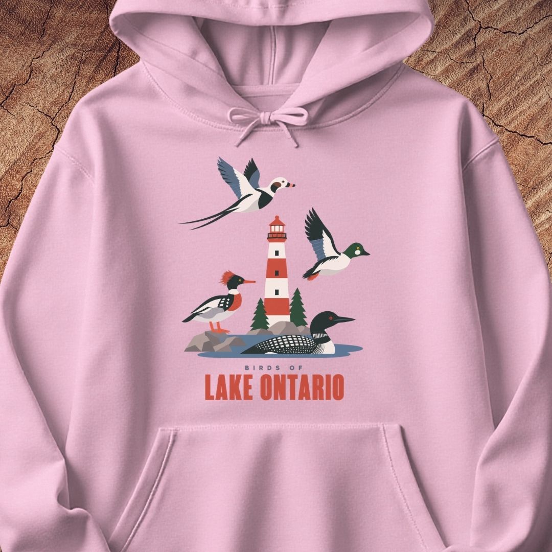A light pink pullover hoodie laid flat on a rustic wood background, featuring a colorful graphic of birds and a lighthouse with the text 'Birds of Lake Ontario'.