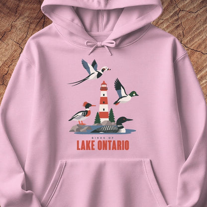 A light pink pullover hoodie laid flat on a rustic wood background, featuring a colorful graphic of birds and a lighthouse with the text 'Birds of Lake Ontario'.