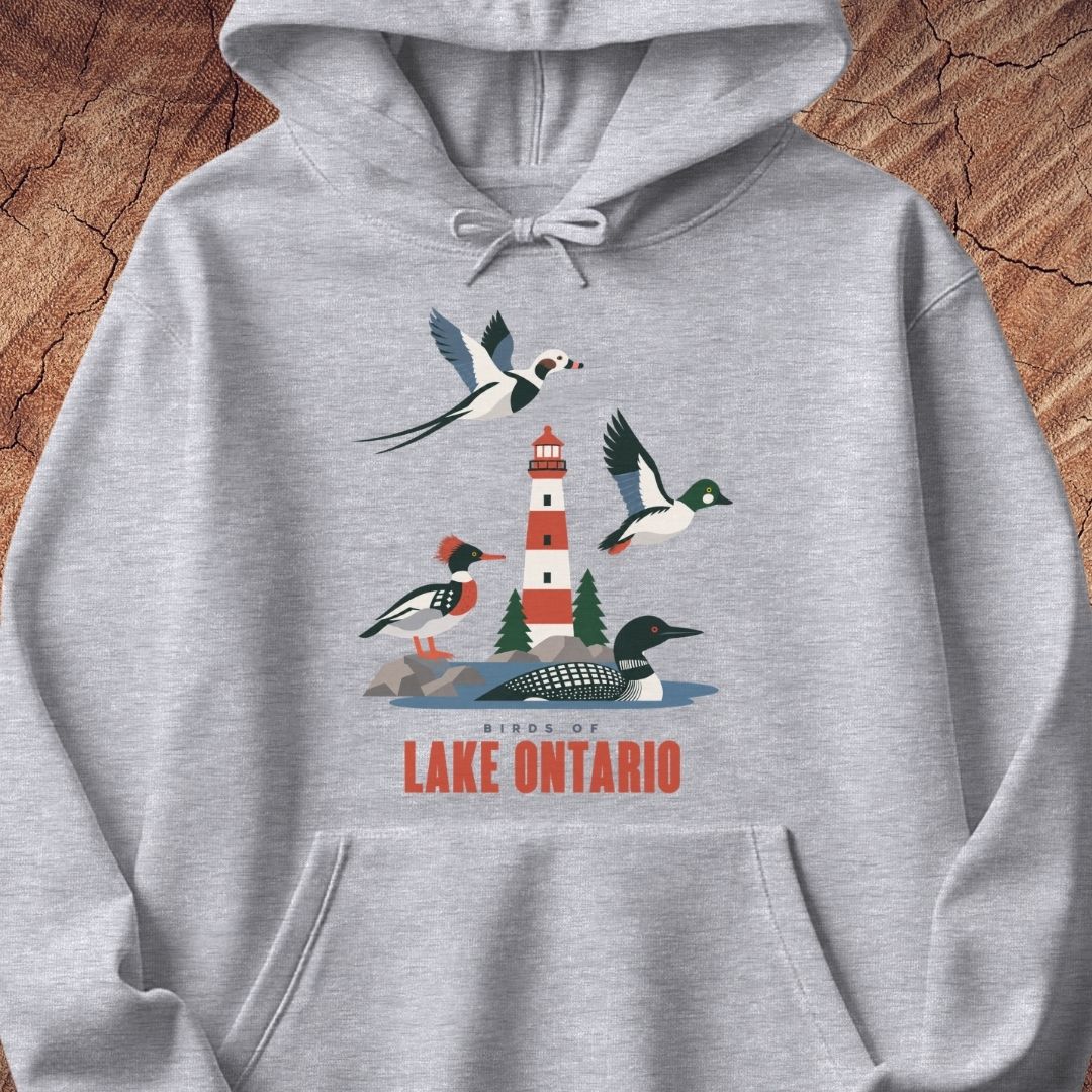 A light heather gray pullover hoodie featuring a colorful graphic print of birds and a lighthouse on Lake Ontario, with the text 'BIRDS OF LAKE ONTARIO' printed below. The hoodie is displayed flat against a textured wood background.
