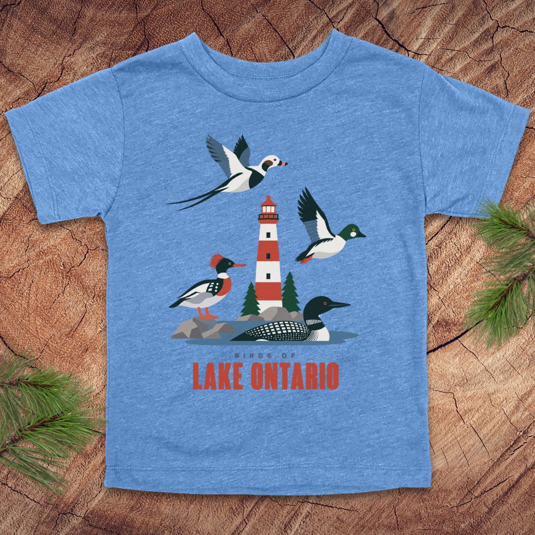 A heather blue kids' t-shirt featuring a colorful graphic of birds and a lighthouse with the text 'BIRDS OF LAKE ONTARIO' in red, laid flat on a rustic wood background with pine branches.