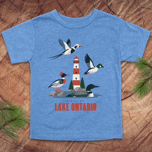 A heather blue kids' t-shirt featuring a colorful graphic of birds and a lighthouse with the text 'BIRDS OF LAKE ONTARIO' in red, laid flat on a rustic wood background with pine branches.