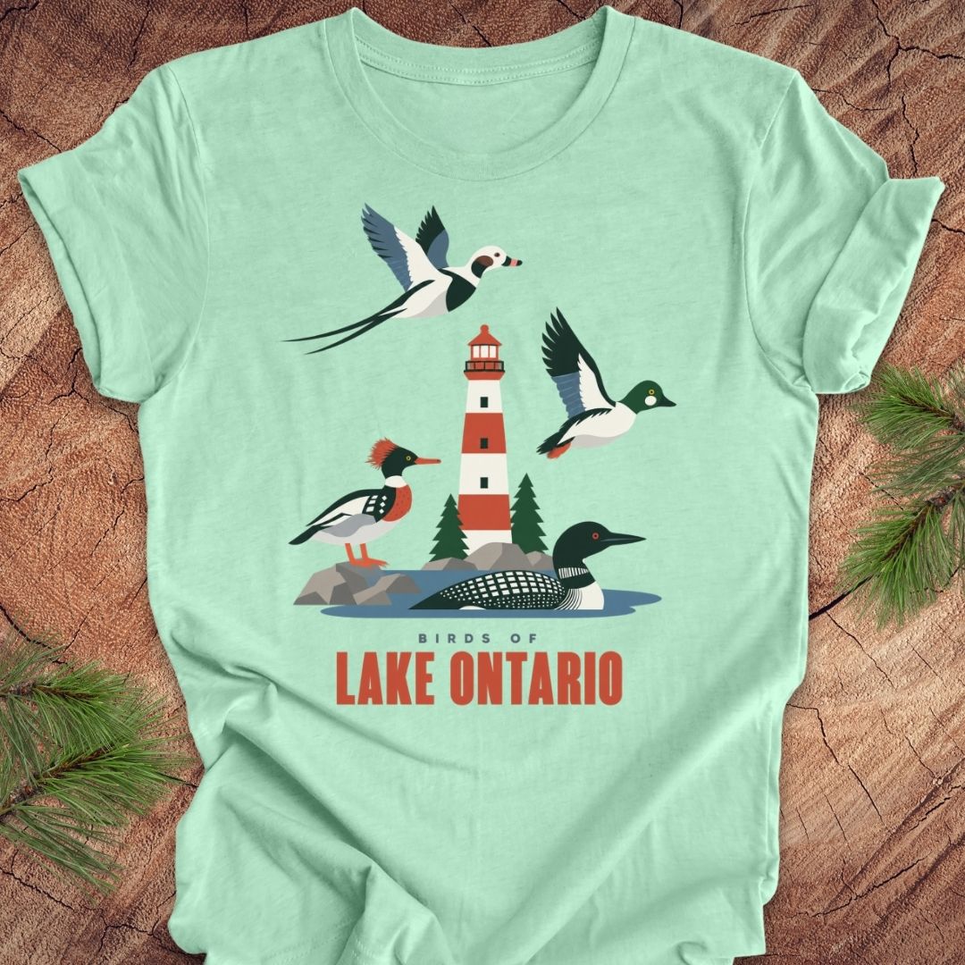 A mint green short-sleeve t-shirt laid flat on a rustic wood background with pine branches in the corners. The shirt features a colorful graphic of birds and a lighthouse over water, with the text 'BIRDS OF LAKE ONTARIO' printed below.