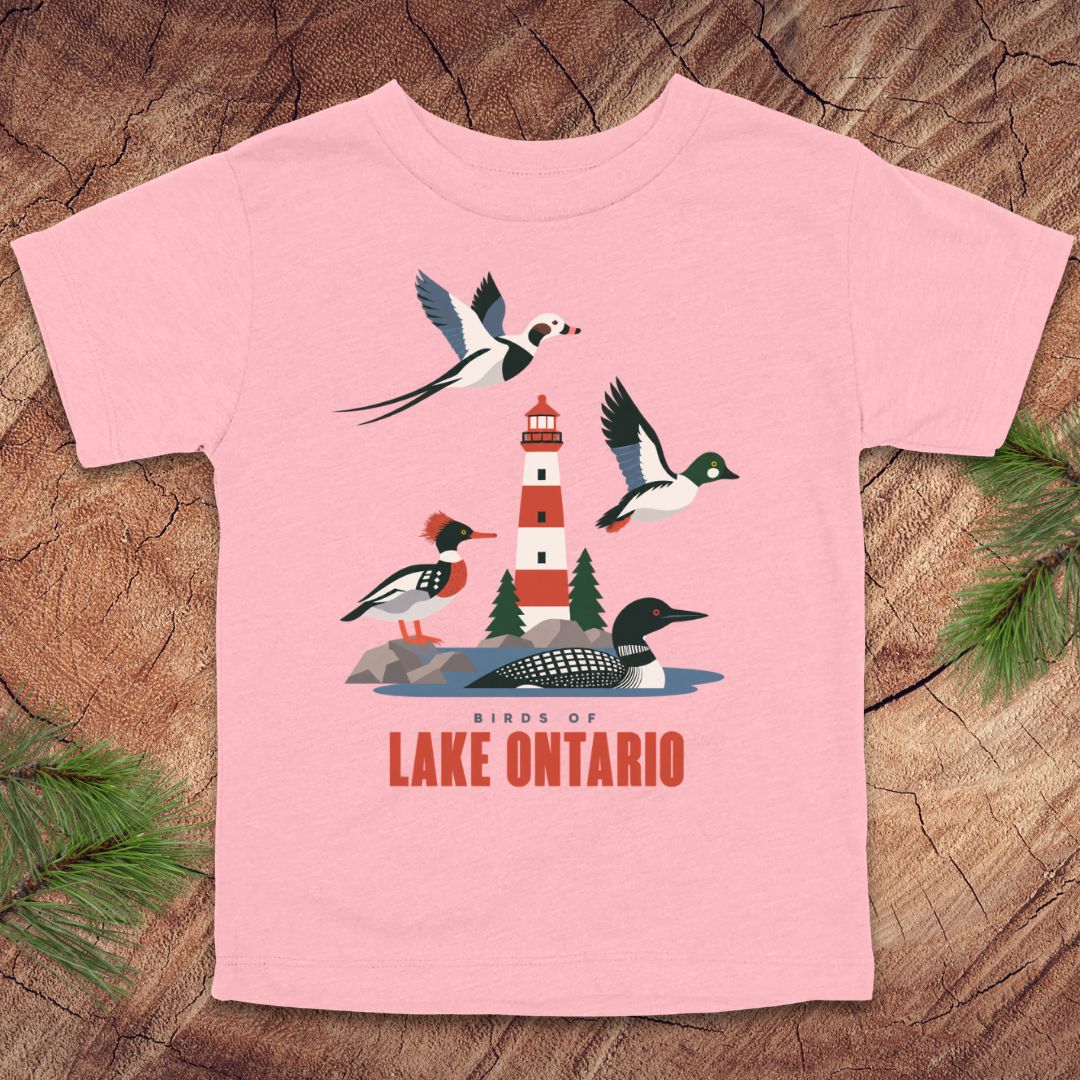 A light pink short-sleeve t-shirt with a graphic of birds and a lighthouse labeled 'Birds of Lake Ontario', displayed flat on a rustic wood background with pine branches in the corners.