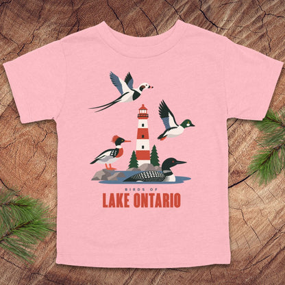 A light pink short-sleeve t-shirt with a graphic of birds and a lighthouse labeled 'Birds of Lake Ontario', displayed flat on a rustic wood background with pine branches in the corners.