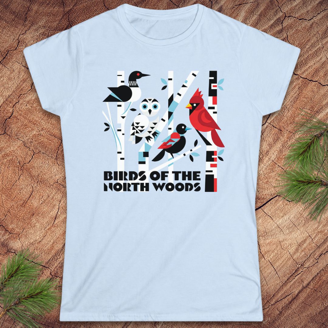Light blue t-shirt with bird design and 'Birds of the North Woods' text on a wooden surface.