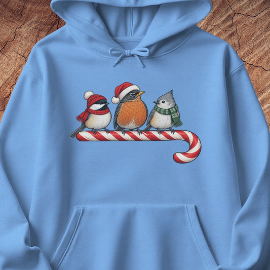 Carolina blue hoodie with a Black-capped Chickadee, American Robin, and Tufted Titmouse in winter hats and scarves perched on a candy cane, laid flat on a rustic wood background.