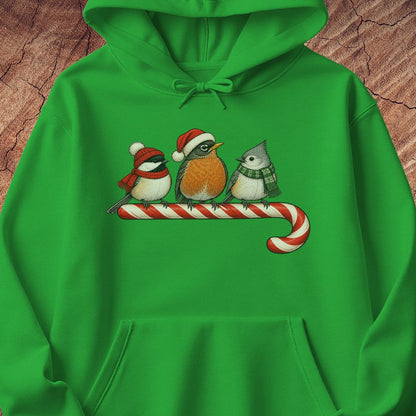 Irish green hoodie with a Black-capped Chickadee, American Robin, and Tufted Titmouse in winter hats and scarves perched on a candy cane, laid flat on a rustic wood background.
