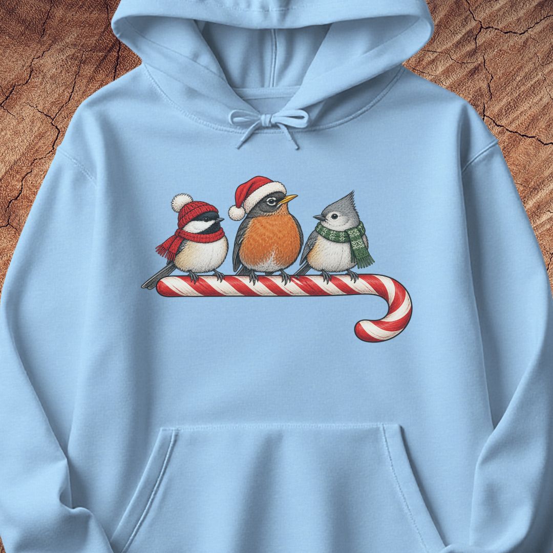 Light blue hoodie with a Black-capped Chickadee, American Robin, and Tufted Titmouse in winter hats and scarves perched on a candy cane, laid flat on a rustic wood background.