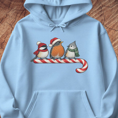 Light blue hoodie with a Black-capped Chickadee, American Robin, and Tufted Titmouse in winter hats and scarves perched on a candy cane, laid flat on a rustic wood background.