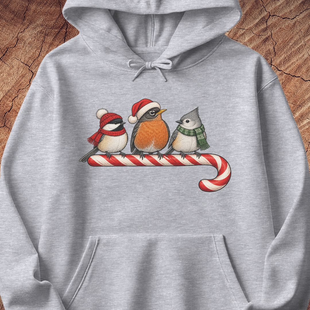 Sport grey hoodie with a Black-capped Chickadee, American Robin, and Tufted Titmouse in winter hats and scarves perched on a candy cane, laid flat on a rustic wood background.