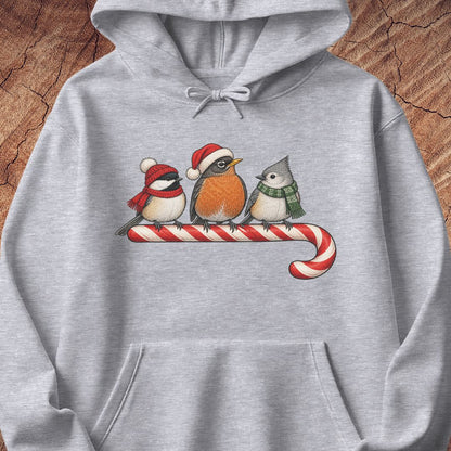 Sport grey hoodie with a Black-capped Chickadee, American Robin, and Tufted Titmouse in winter hats and scarves perched on a candy cane, laid flat on a rustic wood background.