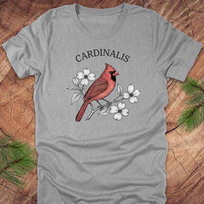 Gray t-shirt with a red cardinal bird design and scientific name text on a wooden surface