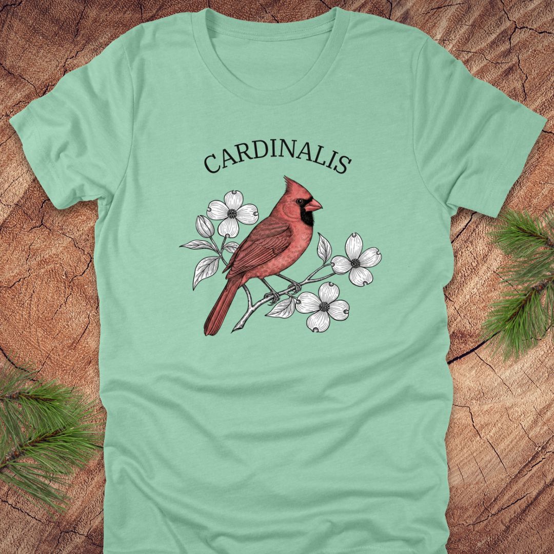 Mint green t-shirt with a red cardinal bird design and scientific name text on a wooden surface