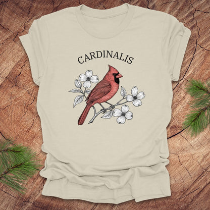 Beige t-shirt with a red cardinal bird design and scientific name text on a wooden surface
