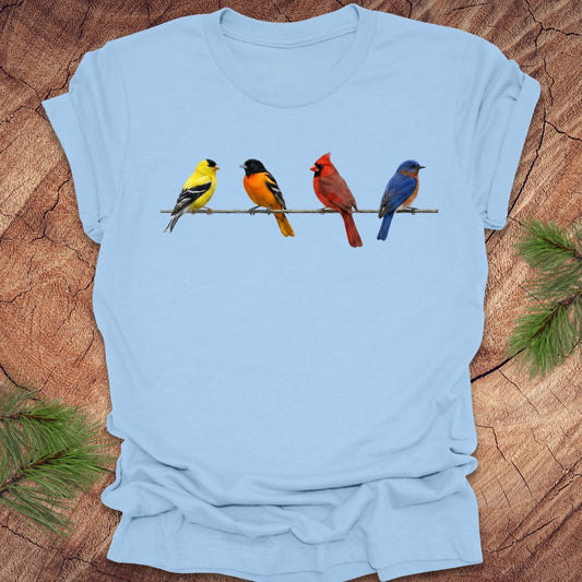 Light blue t-shirt with colorful birds design on a wooden surface