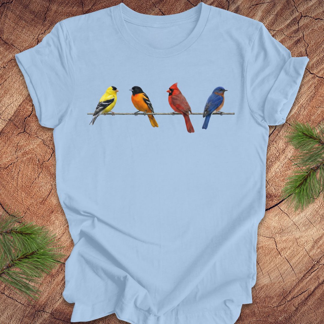 Colorful Backyard Birds Tee — Baby Blue