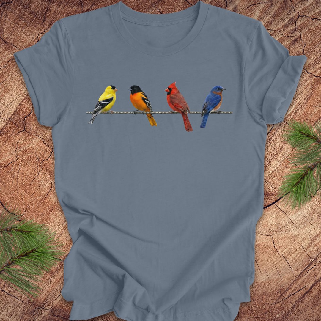 Blue t-shirt with colorful birds design on a wooden surface
