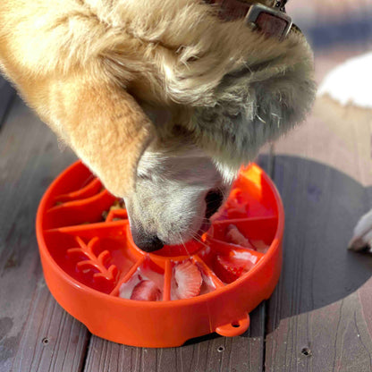 Slow Feeder Enrichment Dog Bowl