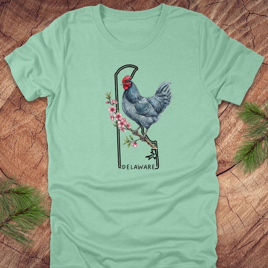 Light green t-shirt with a rooster design and 'Delaware' text on a wooden surface.