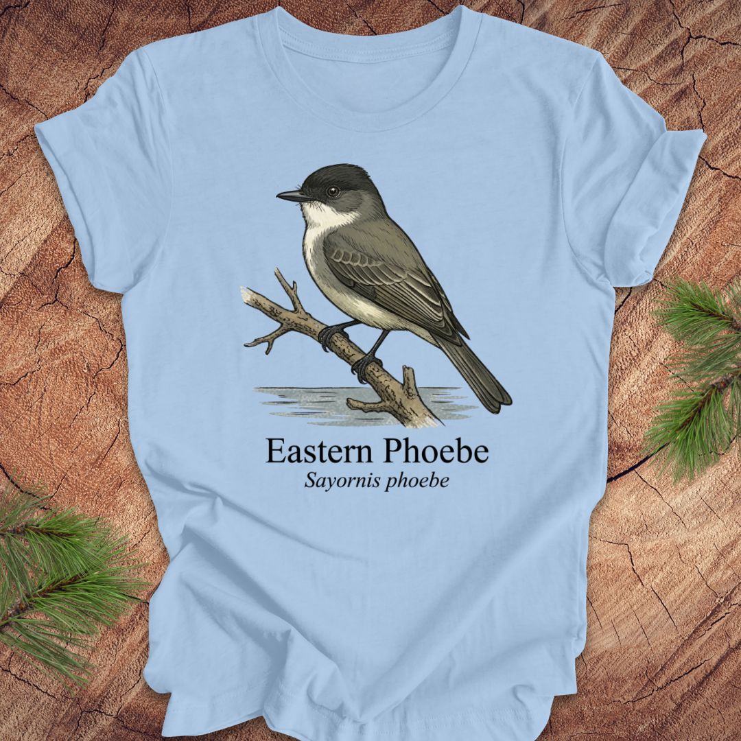Light blue t-shirt with an illustration of an Eastern Phoebe bird on a wooden surface.