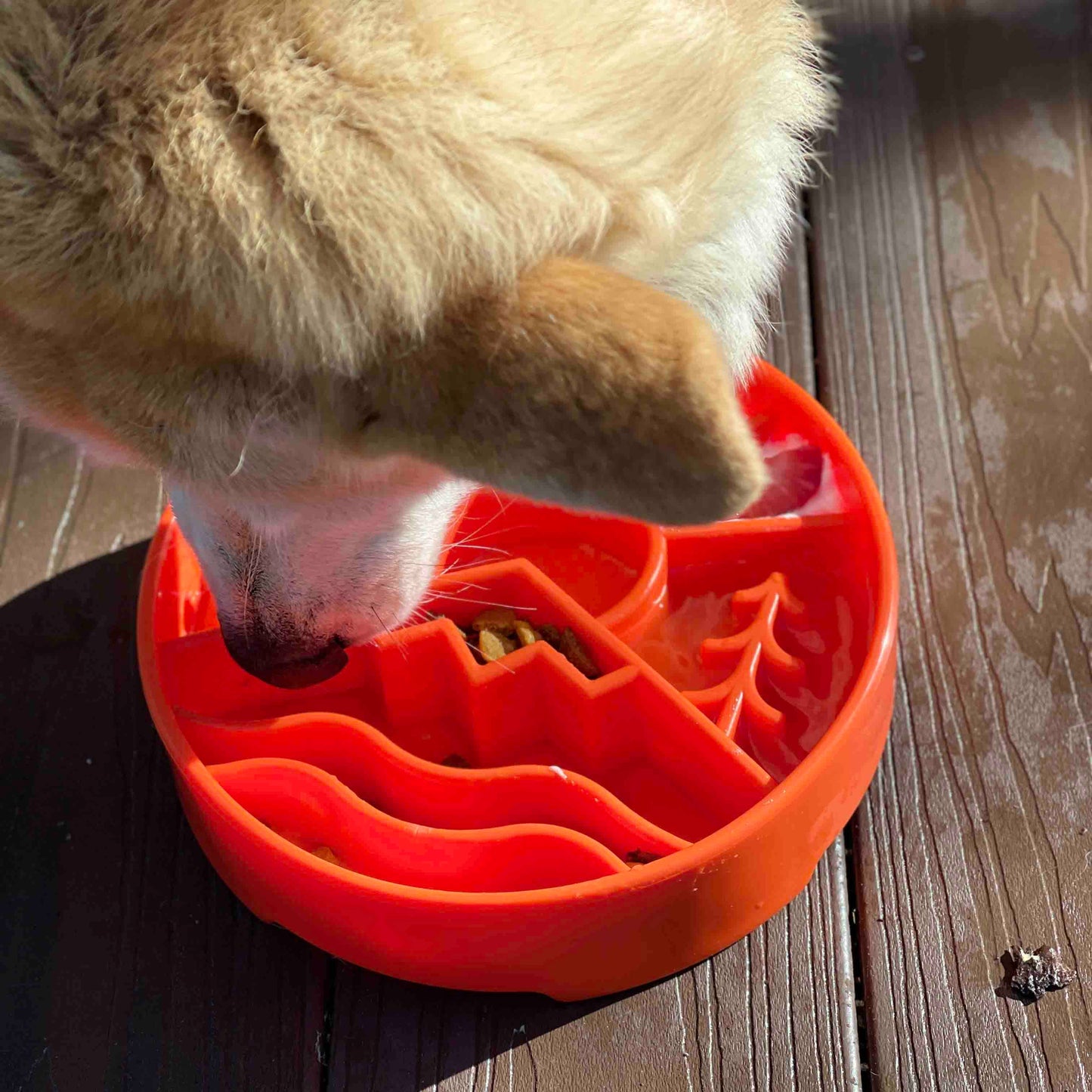 Slow Feeder Enrichment Dog Bowl