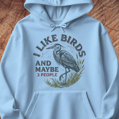 A light blue pullover hoodie with a front graphic print featuring a heron and the text 'I LIKE BIRDS AND MAYBE 3 PEOPLE' in dark gray and red lettering, displayed flat against a textured wood background.