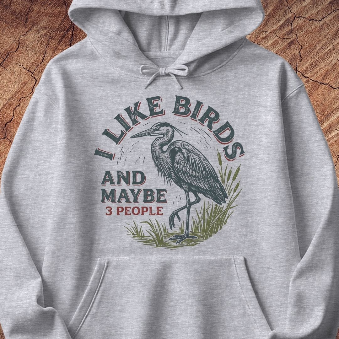 A light heather gray pullover hoodie with a front graphic print featuring a heron and the text 'I LIKE BIRDS AND MAYBE 3 PEOPLE'. The hoodie is laid flat on a textured brown wood background.